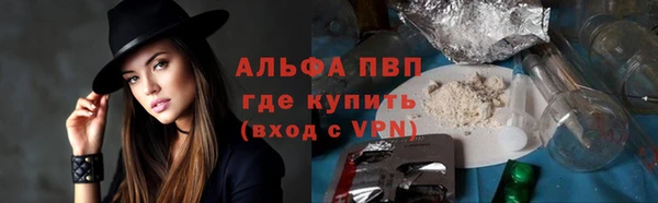 PSILOCYBIN Новодвинск