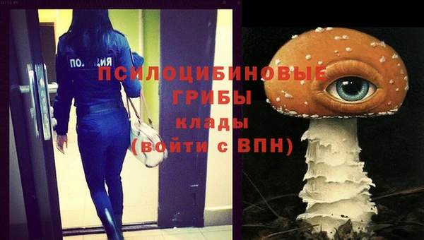 кокс Новозыбков