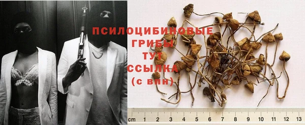 шишки Жердевка