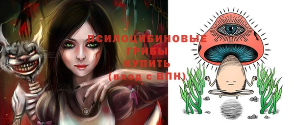 каннабис Новокубанск