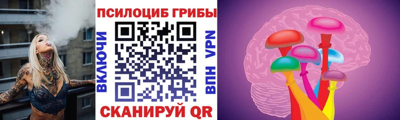 Псилоцибиновые грибы ЛСД  мега   Медынь  как найти наркотики 